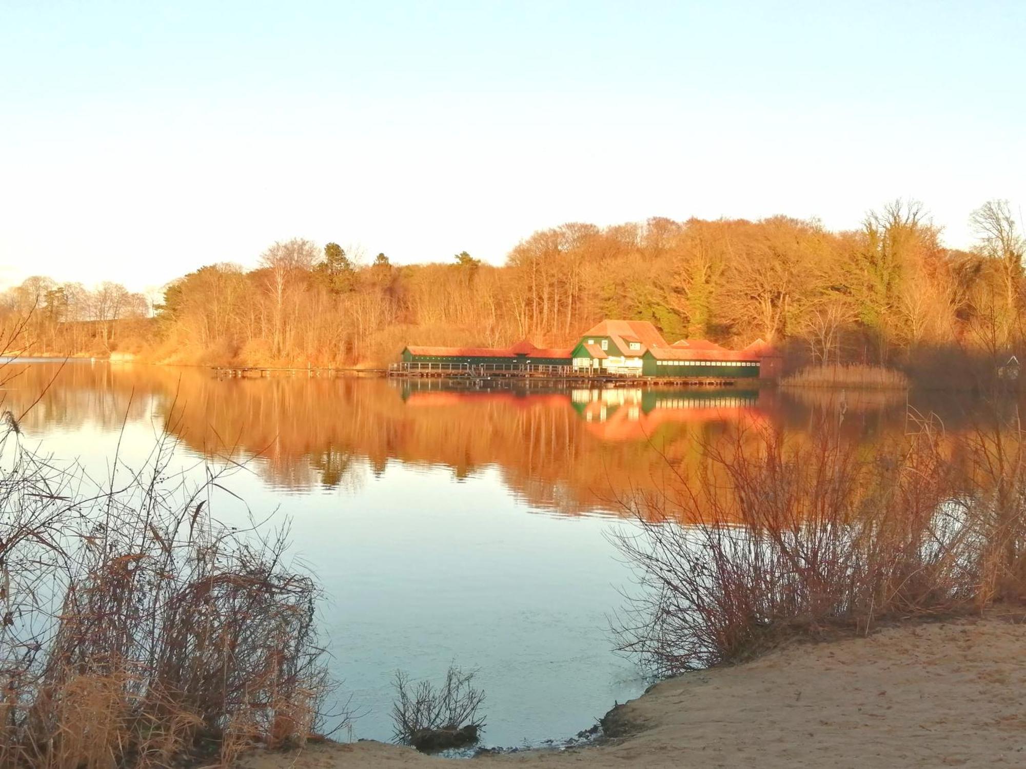 Kleines Ferienhaeuschen Im Garten Eutin Bagian luar foto